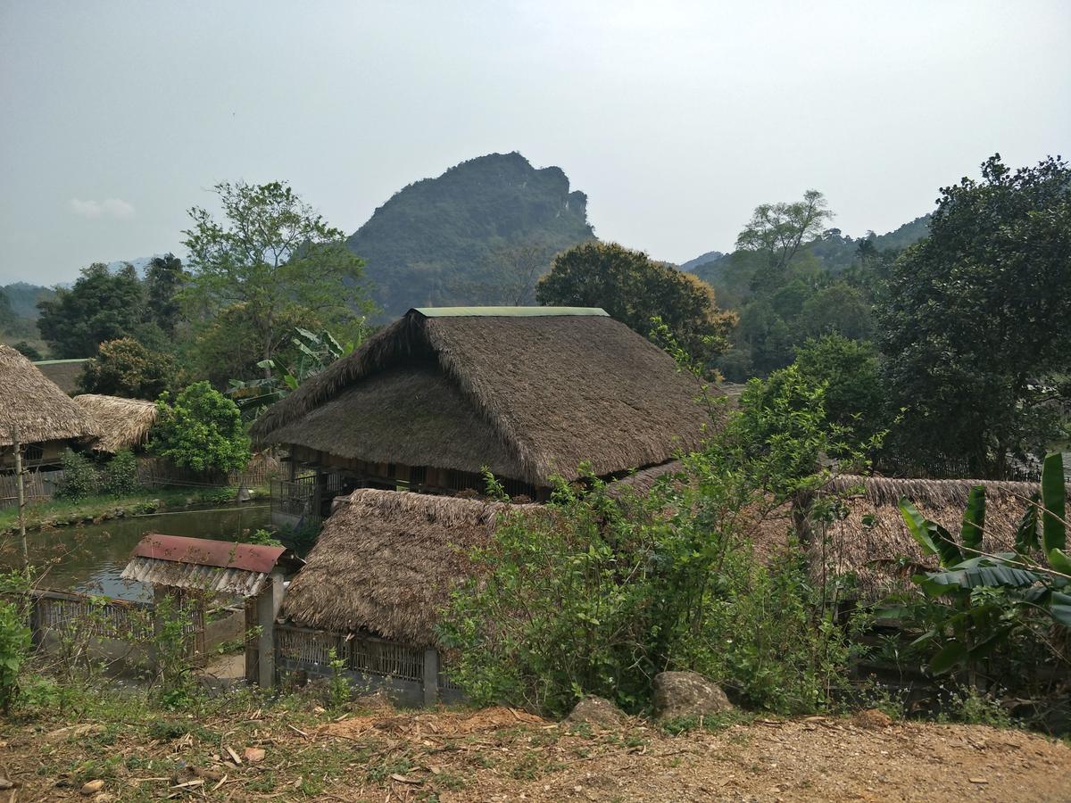 Homestay Ngan Ha