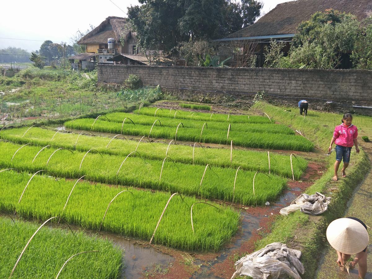 Ngan Ha Ha Giang